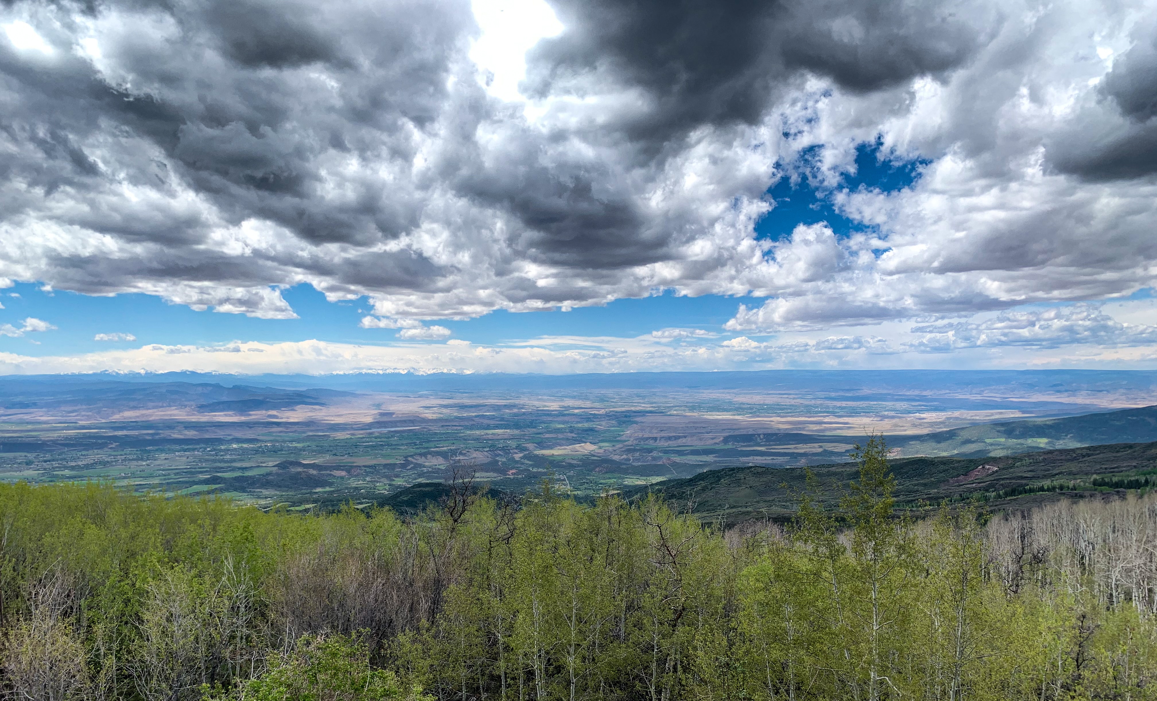 things to do in grand junction colorado